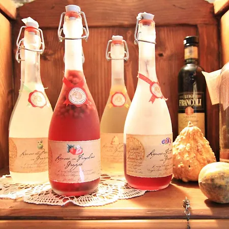 Hotel Beau Sejour Champorcher